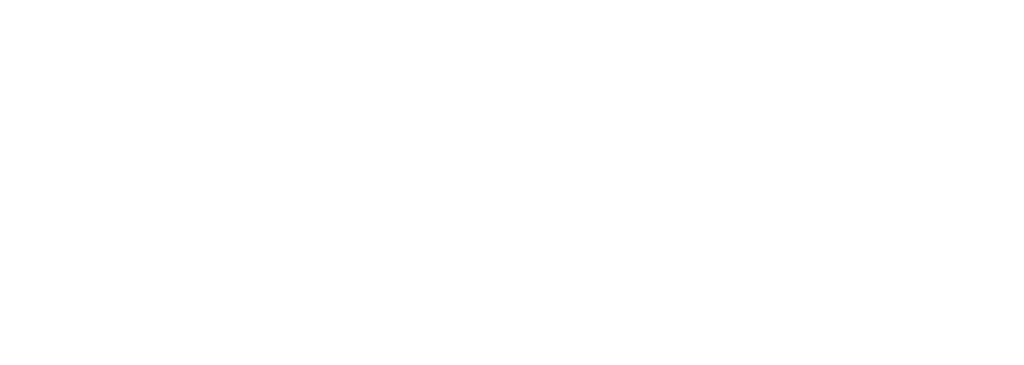 ZUFFA BOXING Logo